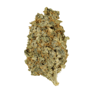 Mint Cookies | Bloom Supply Canada