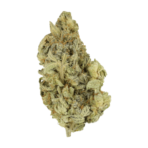 Wedding Pie | Bloom Supply Canada