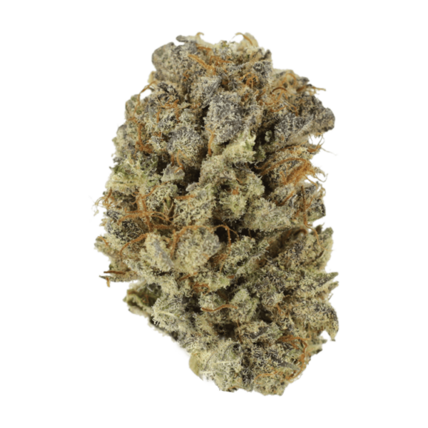 Mimosa Punch | Bloom Supply Canada