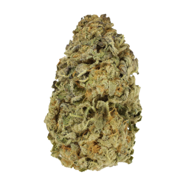 Mimosa Punch | Bloom Supply Canada