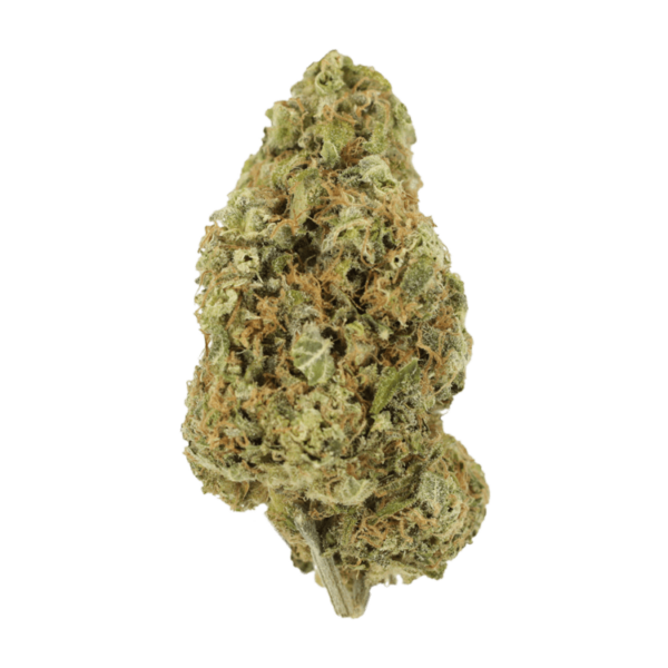 Sour Jack | Bloom Supply Canada