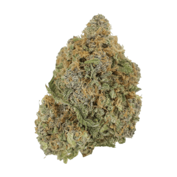 Jagermeister | Bloom Supply Canada