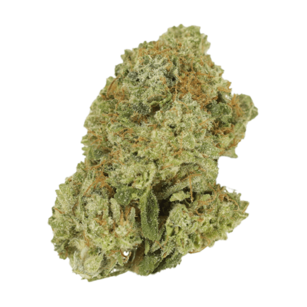 Green Lantern | Bloom Supply Canada