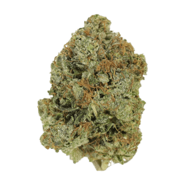 Watermelon Gelato | Bloom Supply Canada