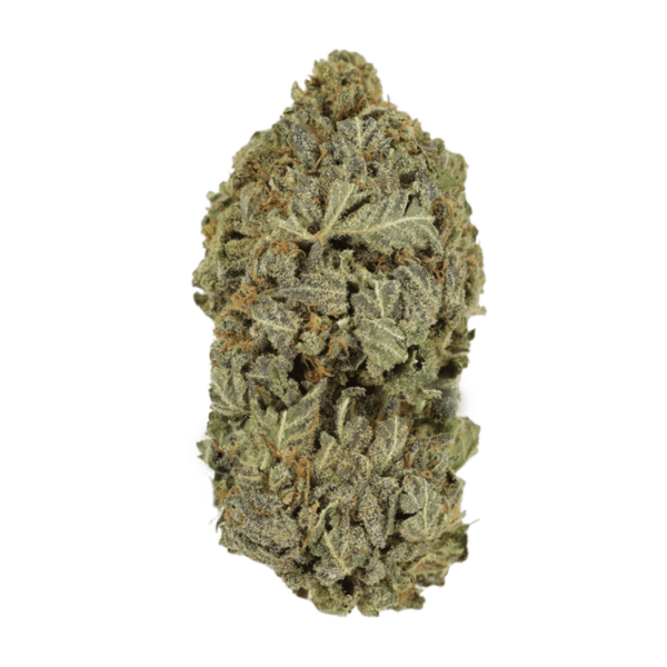 Purple Dream | Bloom Supply Canada