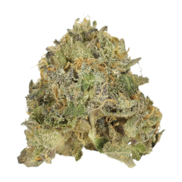Vanilla Kush | Bloom Supply Canada