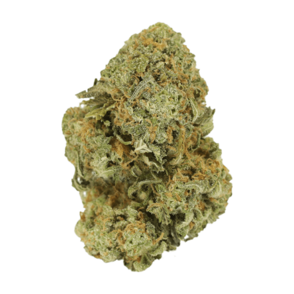 Watermelon Gelato | Bloom Supply Canada