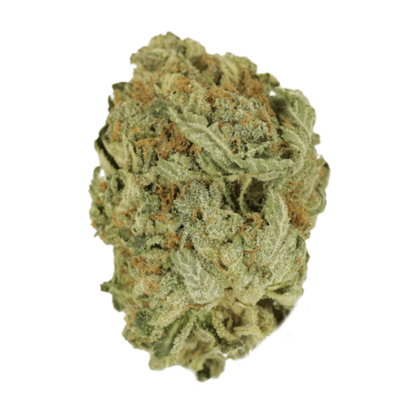 Ghost Bubba | Bloom Supply Canada