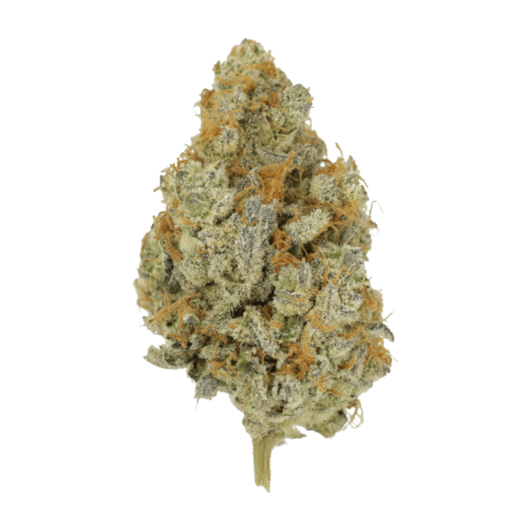 Peanut Butter Rockstar | Bloom Supply Canada