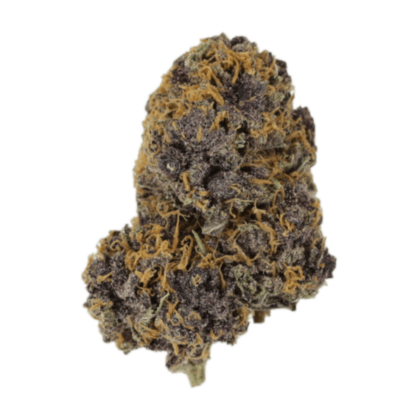 Huckleberry Soda | Bloom Supply Canada