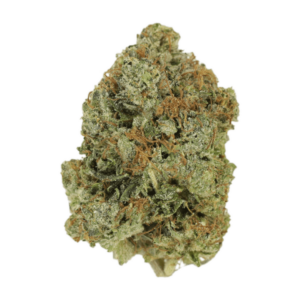 Jack Herer (popcorn) | Bloom Supply Canada