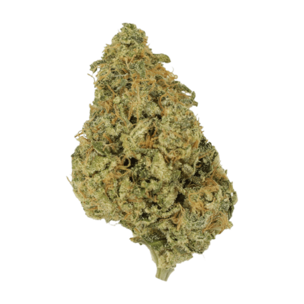 OG Lemon Haze | Bloom Supply Canada