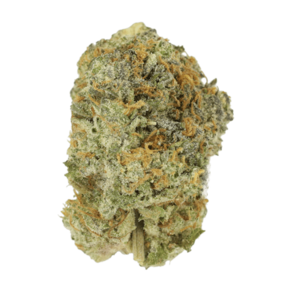 Strawberry Shortcake | Bloom Supply Canada