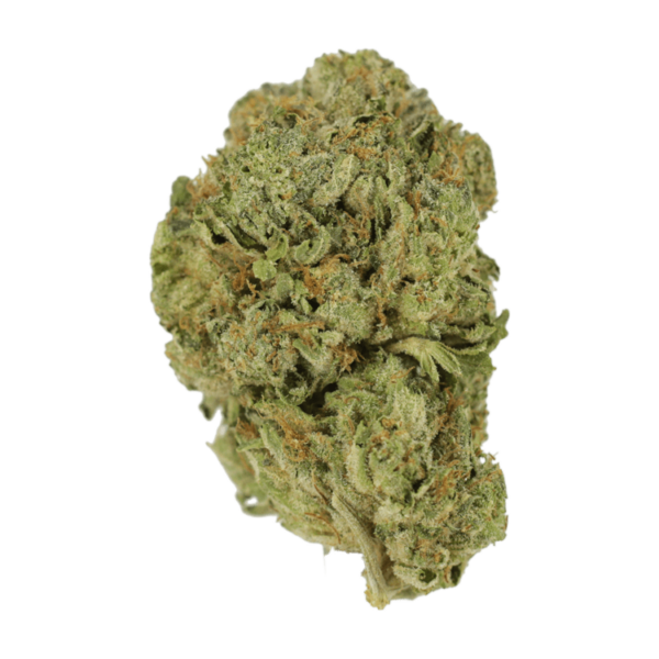 Super Blue Dream | Bloom Supply Canada