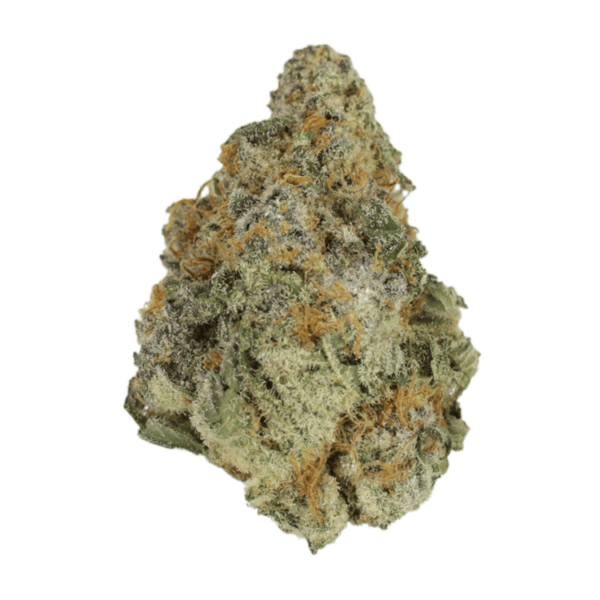 Purple Hindu Kush | Bloom Supply Canada