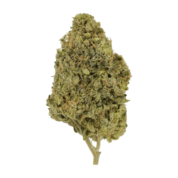 Blunicorn | Bloom Supply Canada