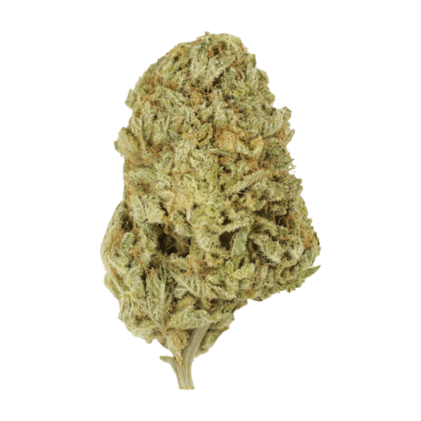 Face Mints | Bloom Supply Canada