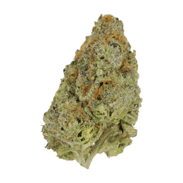 Lilac Diesel | Bloom Supply Canada