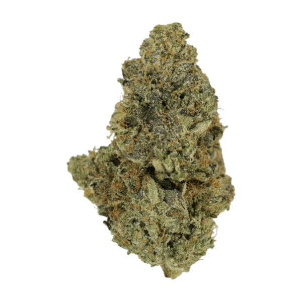 Purple Urkle | Bloom Supply Canada