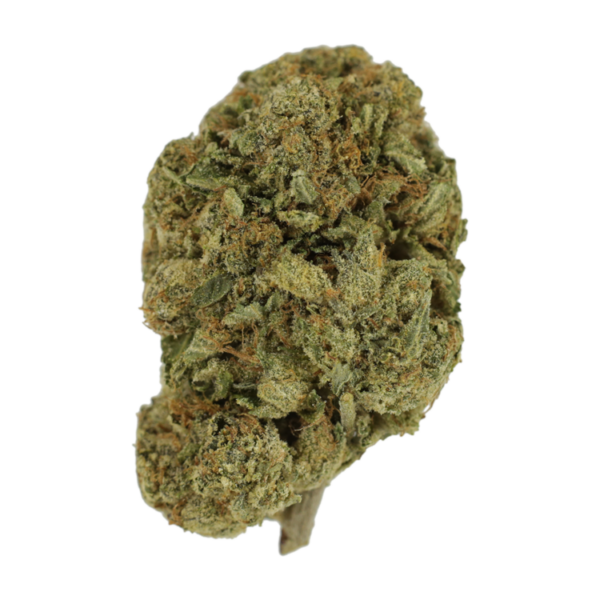 Grape Ape (AAA) | Bloom Supply Canada