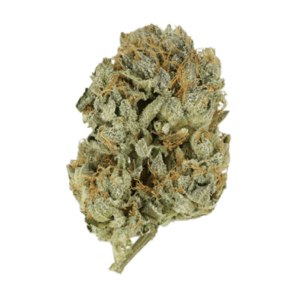 Kashmir Kush | Bloom Supply Canada