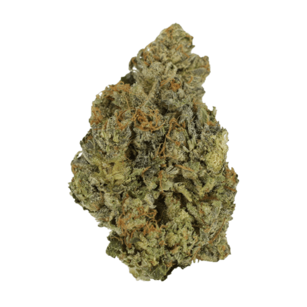 Lady Bird | Bloom Supply Canada