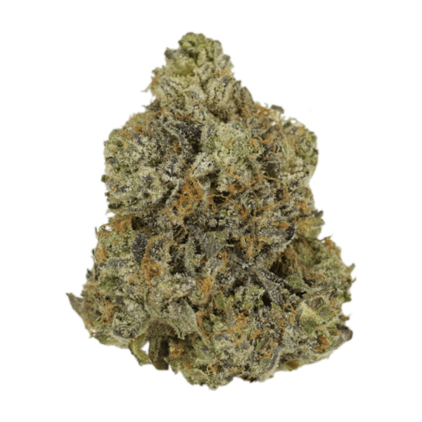 Rockstar | Bloom Supply Canada