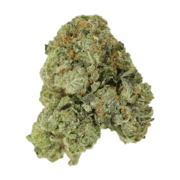 White Russian | Bloom Supply Canada