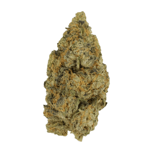 Citrus Funk | Bloom Supply Canada