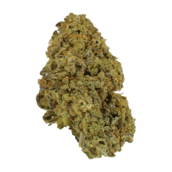 Lemon Thai | Bloom Supply Canada