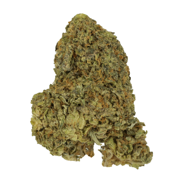 Gorilla Berries | Bloom Supply Canada