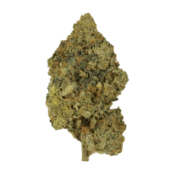 Lemon Kush | Bloom Supply Canada