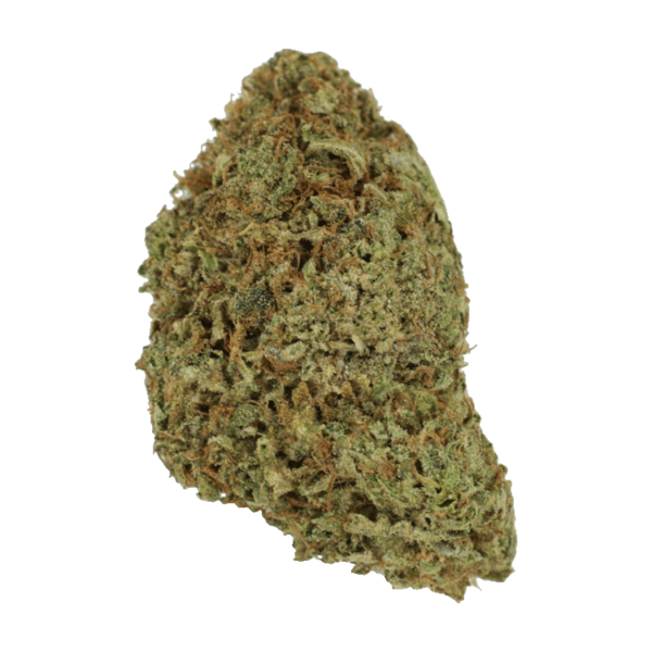 Super Pink | Bloom Supply Canada