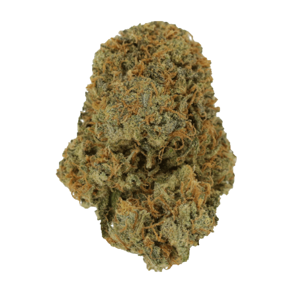 Fruit Punch | Bloom Supply Canada