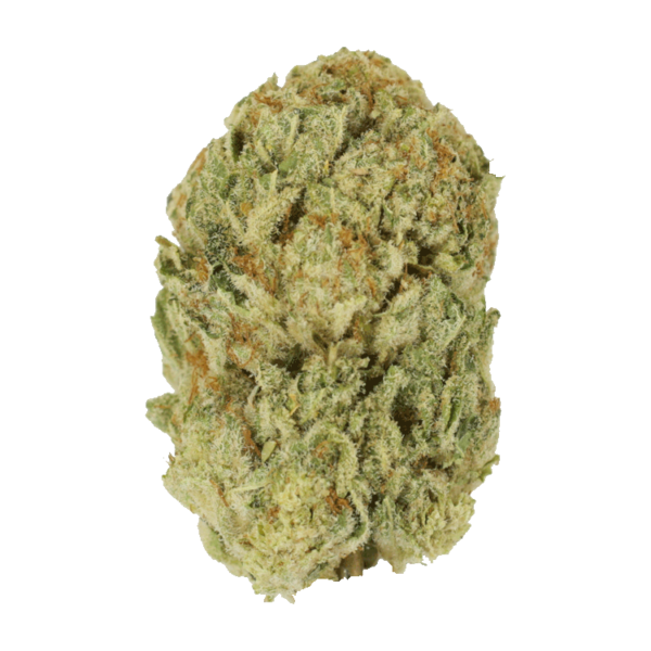 Trap Star | Bloom Supply Canada