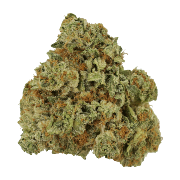 Laughing Gas | Bloom Supply Canada
