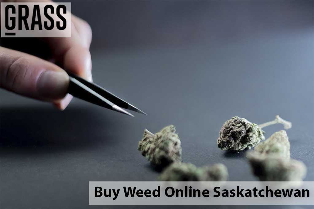 Buy cannabis Online Saskatchewan | Bloom Supply Canada | Bloom Supply Canada