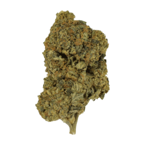 Cherry Punch | Bloom Supply Canada