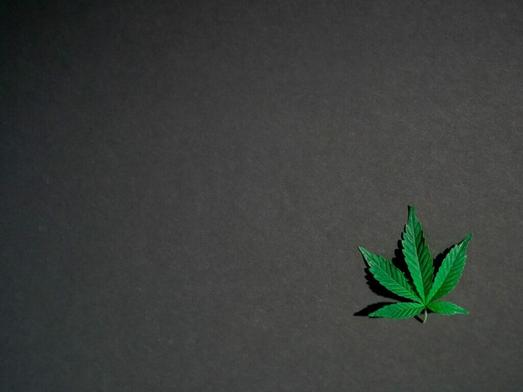Hybrid - weed | Bloom Supply Canada