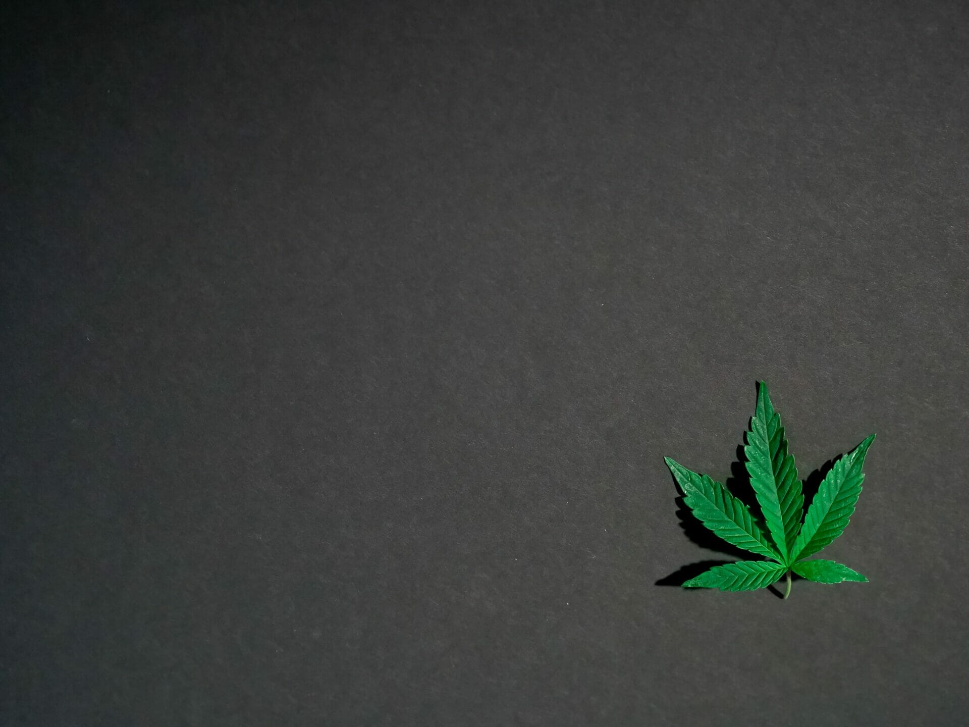 Hybrid - weed | Bloom Supply Canada
