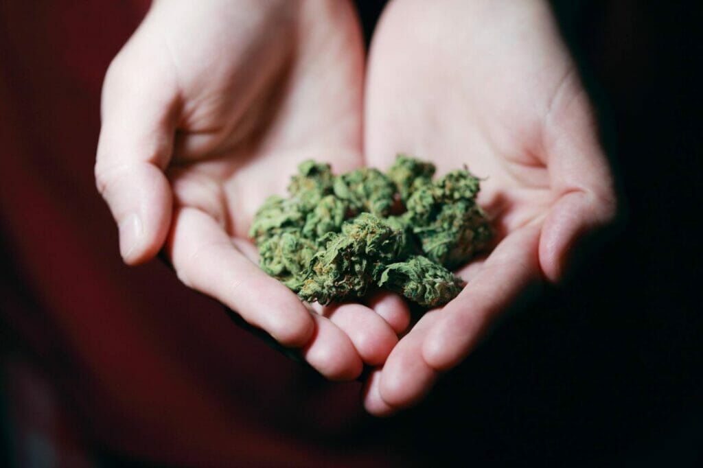 Best dispensary in canada | Bloom Supply Canada
