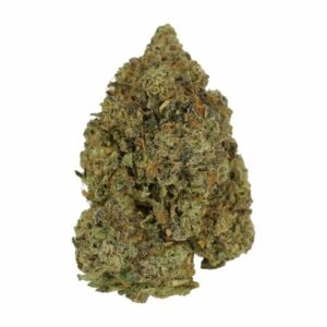Love Affair | Bloom Supply Canada