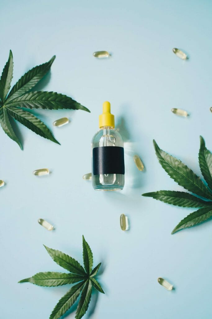 Cannabis Winnipeg Users: How cannabis Improves Focus | Bloom Supply Canada | Bloom Supply Canada