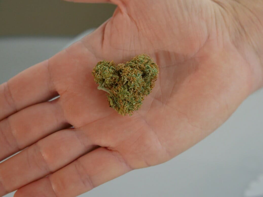 cannabis marijuana Canada | Bloom Supply Canada