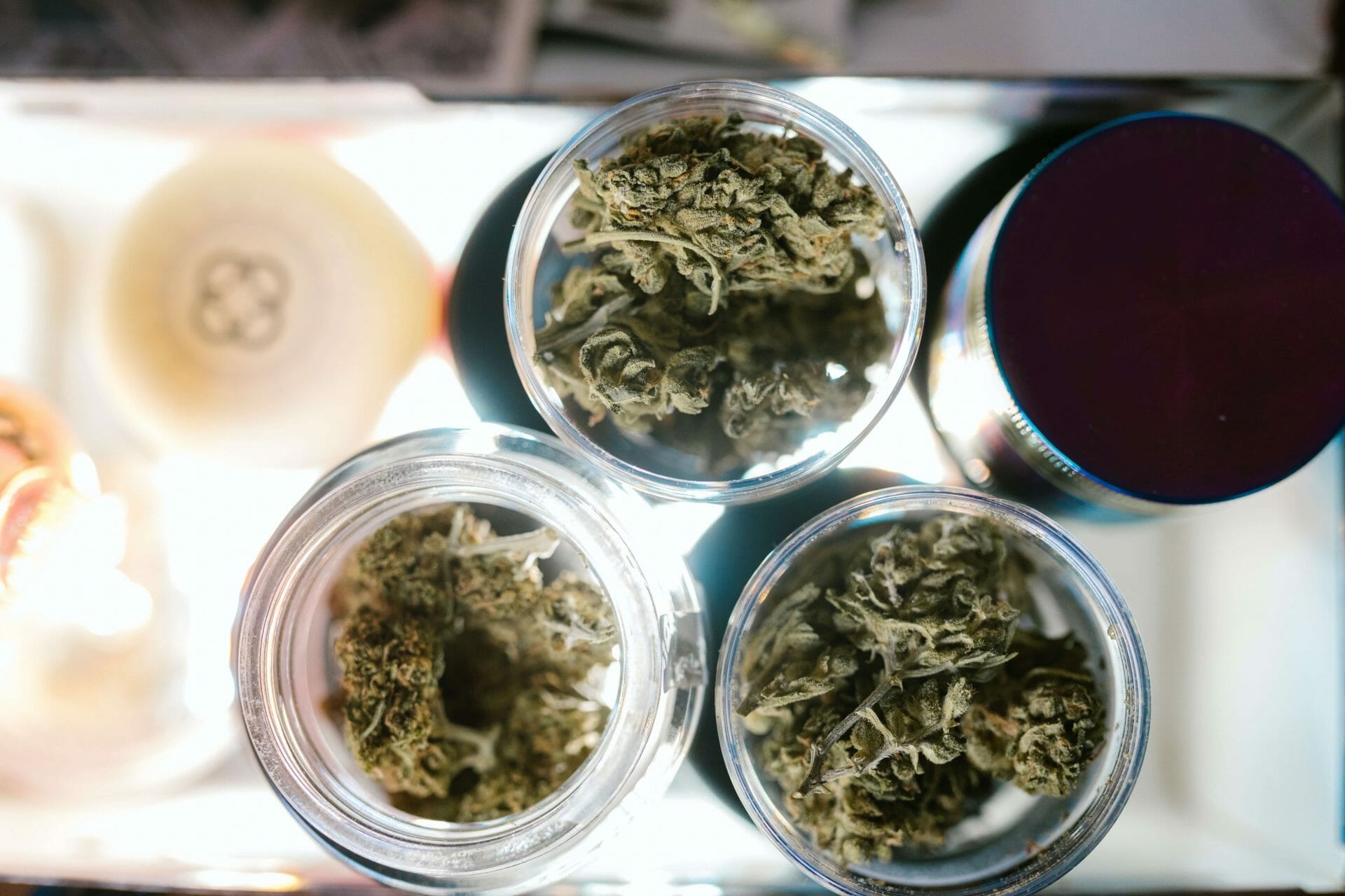 Craft cannabis canada | Bloom Supply Canada