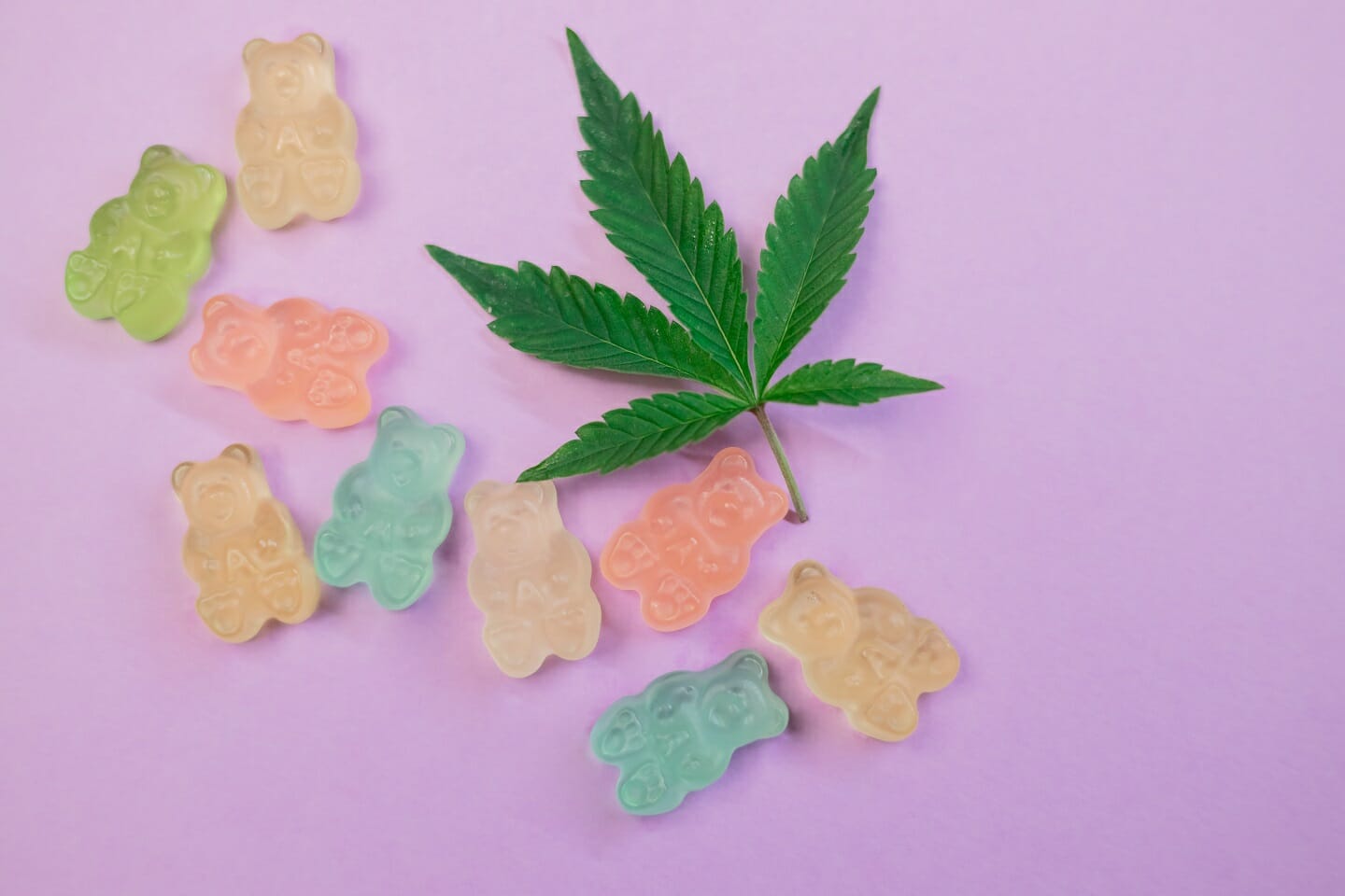 Cannabis Edibles | Bloom Supply Canada