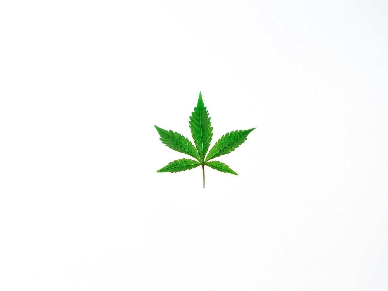 Benefits of Shopping in a BC cannabis Online Dispensary | Bloom Supply Canada