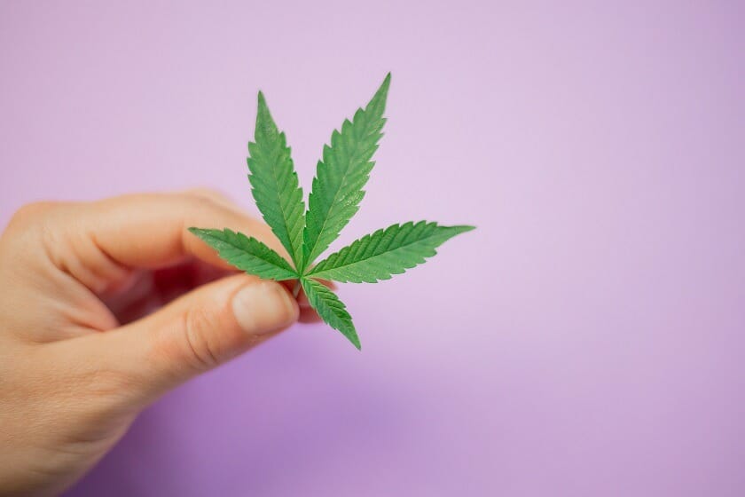 Bloom Supply Canada: Your One-Stop Shop for Premium cannabis Products | Bloom Supply Canada