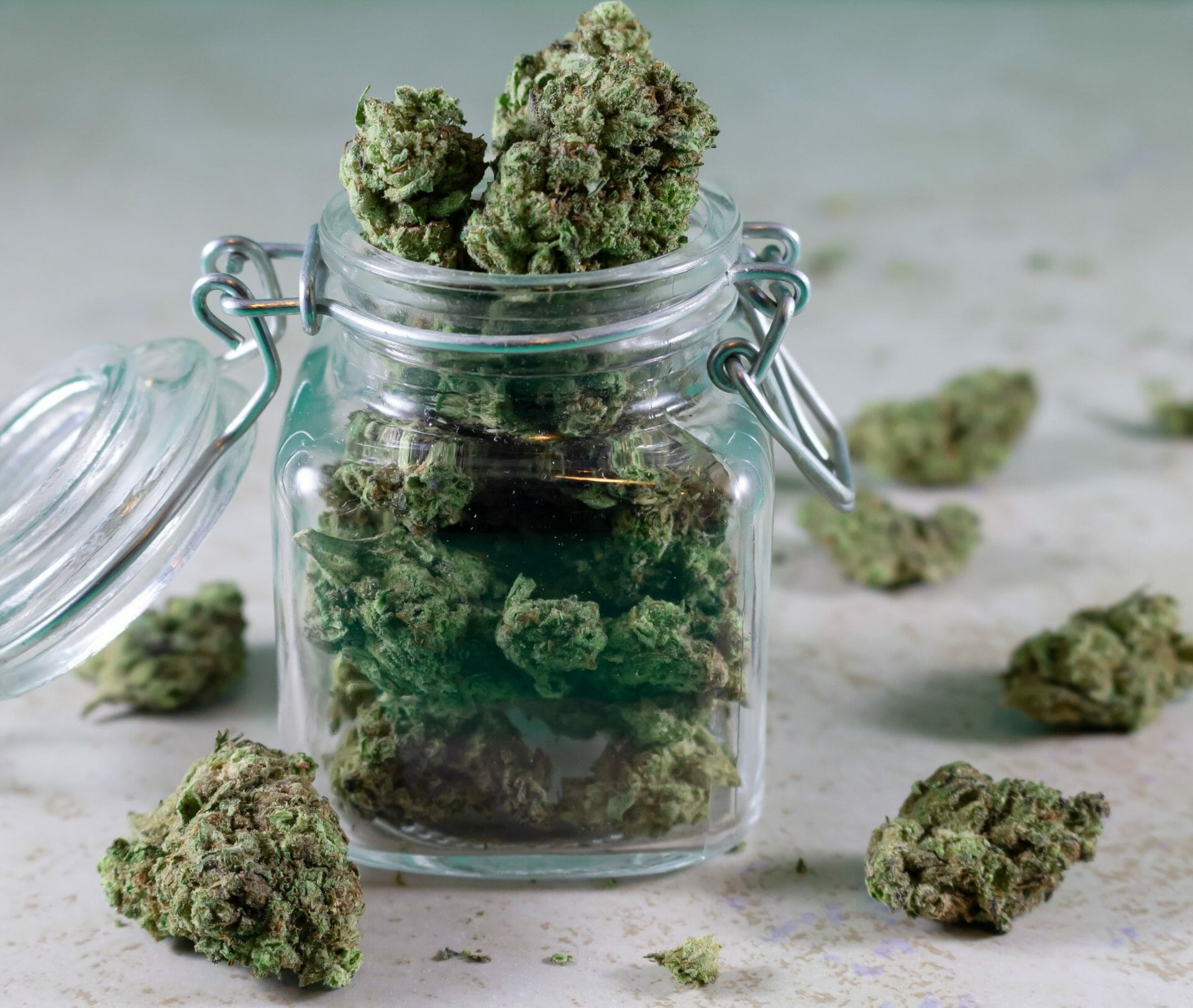 Grasslife - cannabis Dispensaries | Bloom Supply Canada