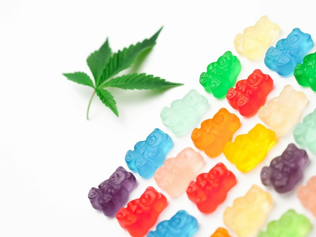 Edible Delights: A Guide to the Most Delicious cannabis in Edmonton | Bloom Supply Canada | Bloom Supply Canada